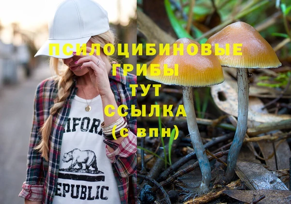 СК Аркадак