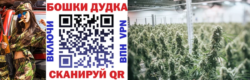Каннабис ГИДРОПОН  Нея 